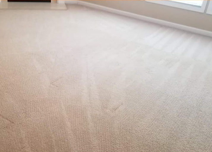 carpet after